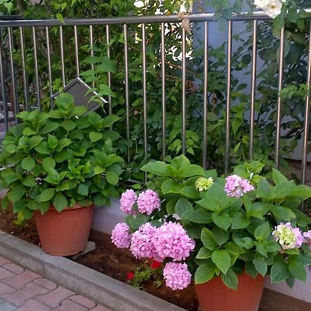 Apartments Strkalj Bibinje Ngoại thất bức ảnh