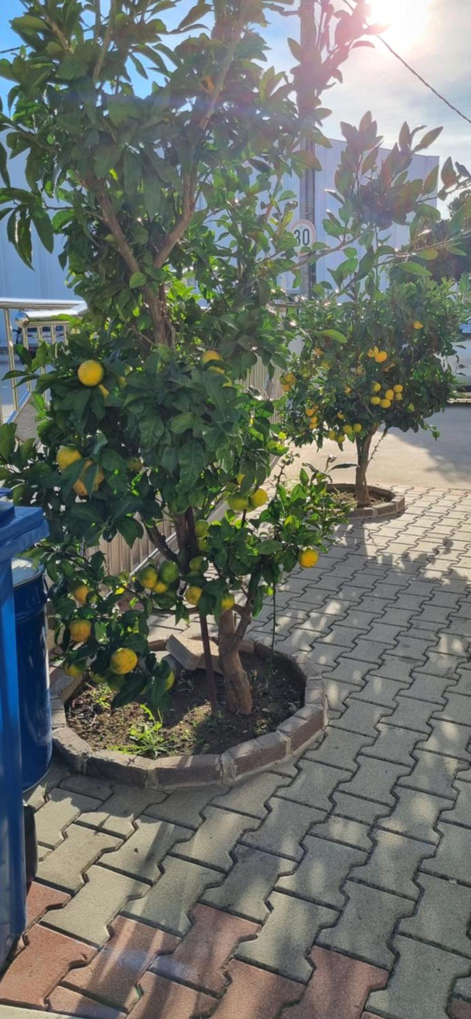 Apartments Strkalj Bibinje Ngoại thất bức ảnh